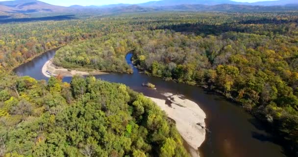 Aerial View Flying Beautiful Sunny Forest Trees Bikin National Park — Stock Video