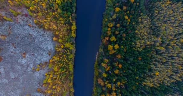 Vue Aérienne. Survolant les magnifiques arbres forestiers ensoleillés du parc national de Bikin, l'endroit où vit la population indigène du territoire de Primorye est Udege. Caméra aérienne prise. Panorama paysager. Région de Primorsky, Russie 