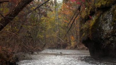 Bikin Milli Parkı, Primorsky REGION, Rusya, Rusya, geleneksel yaşam biçimi, nehir doğası