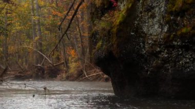 Bikin Milli Parkı, Primorsky REGION, Rusya, Rusya, geleneksel yaşam biçimi, nehir doğası