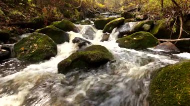 Su rulo nehirde Bikin, Primorsky Krai, Rusya Federasyonu