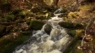 Su rulo nehirde Bikin, Primorsky Krai, Rusya Federasyonu