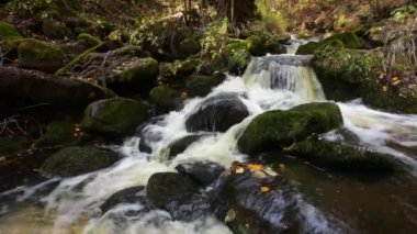 Su rulo nehirde Bikin, Primorsky Krai, Rusya Federasyonu