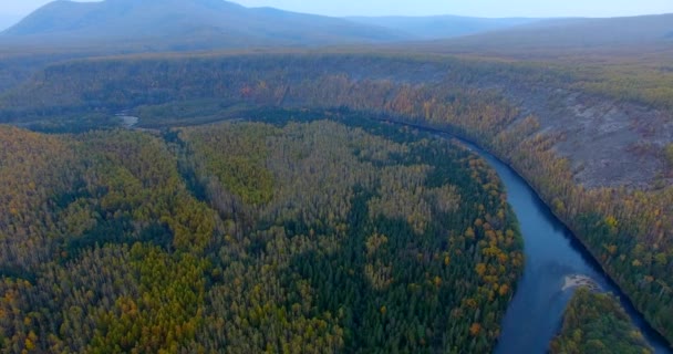 飞越葛欧德国家公园美丽的阳光森林树木 Primorye 领土土著居民居住的地方是 Udege 空中摄像头拍摄 — 图库视频影像
