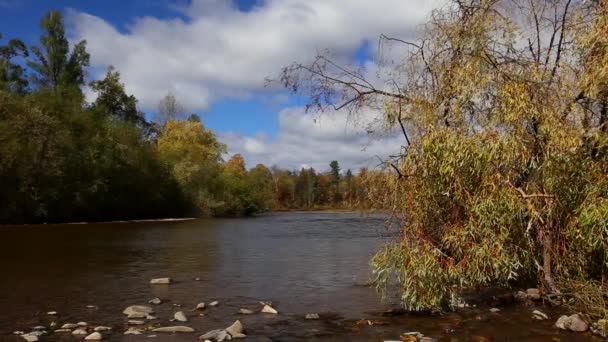 Bikin Nationaal Park Primorski Regio Rusland Aard Van Rusland Traditionele — Stockvideo