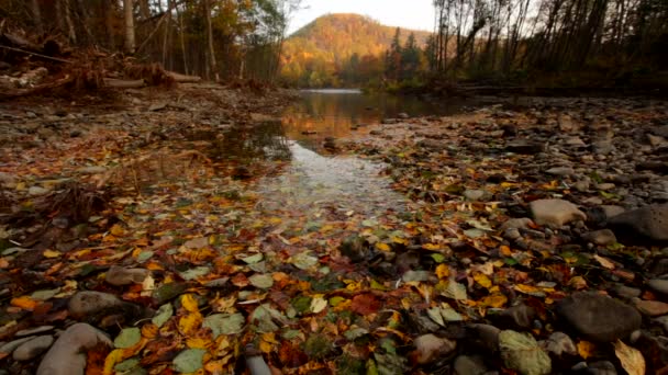 Bikin Park Narodowy Nadmorski Region Rosja Charakteru Rosji Tradycyjny Sposób — Wideo stockowe