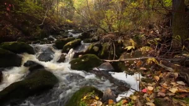 Water Roll River Bikin Primorsky Krai Russia — Stock Video