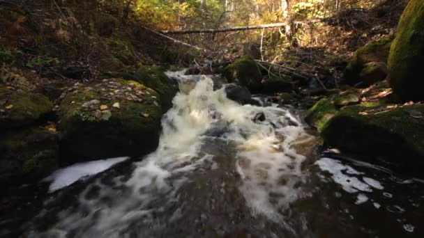 Вода Рол Річці Bikin Приморський Край Росія — стокове відео