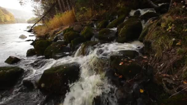 Вода Рол Річці Bikin Приморський Край Росія — стокове відео