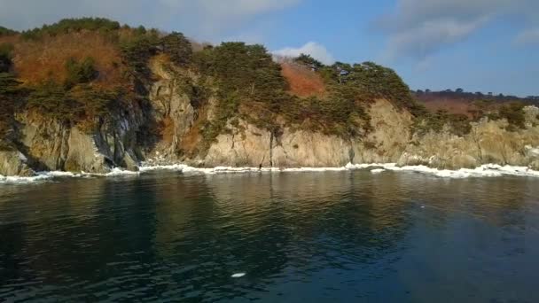 海洋悬崖 陡峭的岩石海岸线 远东海洋保护区在滨海区符拉迪沃斯托克边疆区的鸟瞰图 — 图库视频影像