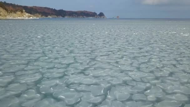 Survoler les flots de glace arctique .