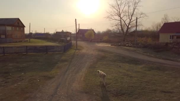 Luftaufnahmen Aus Der Vogelperspektive Zeigen Das Abgelegene Dorf Der Kleinen — Stockvideo