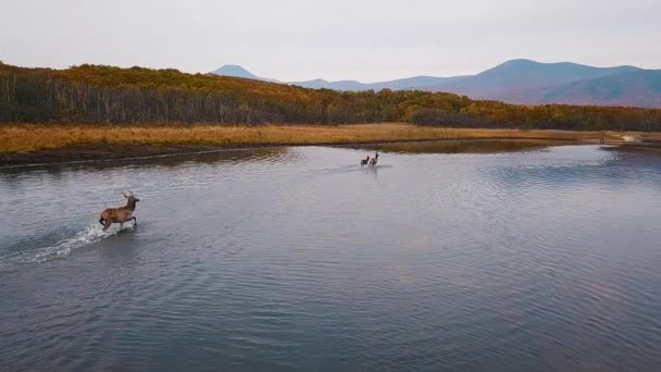 Stroje Stavbu Silnic Stojí Prašné Cestě Výstavba Nové Silnice Předměstí — Stock video