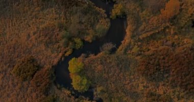 Sikhote-Alin Biyosferindeki altın sonbaharda Goubichnaya Nehri 'nin üzerinde uçuyor..