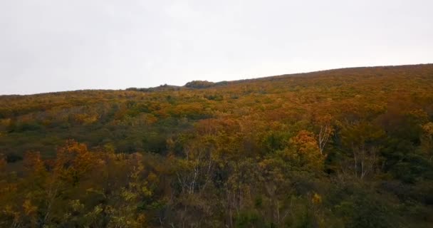 View Beautiful Autumn Landscape Flying Autumn Trees Backdrop Mountains Sea — Stock Video