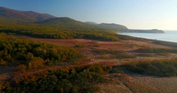 上からの眺め 美しい秋の風景 シホテ アリン生物圏保護区の山と海を背景に秋のフィールドを飛び越える — ストック動画