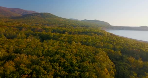 Zicht Van Bovenaf Prachtig Herfstlandschap Vliegen Herfstbomen Tegen Achtergrond Van — Stockvideo
