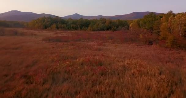 Vue Haut Beau Paysage Automne Survoler Champ Automne Sur Fond — Video