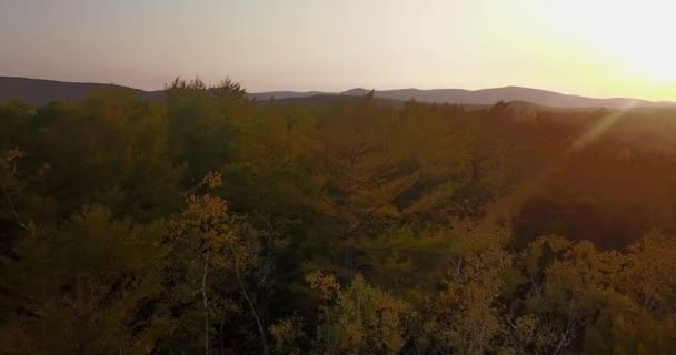 View Beautiful Autumn Landscape Flying Autumn Trees Backdrop Mountains Sea — Stock Video