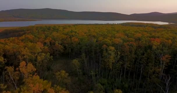 Vista Cima Bela Paisagem Outono Voando Sobre Árvores Outono Contra — Vídeo de Stock