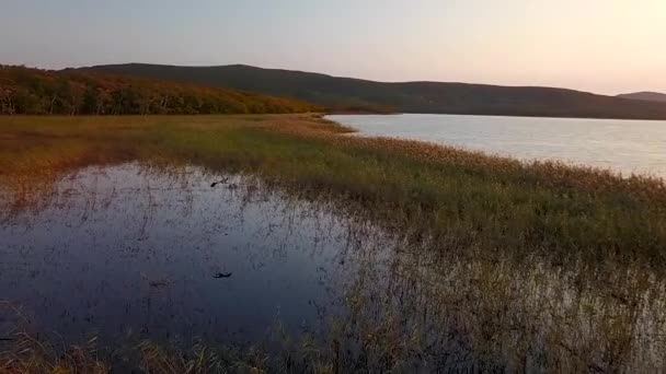 从上往下看 慢动作 黄昏时分 一只大白鹭在锡霍特 阿林生物圈保护区的Blagodatnoye湖上空盘旋 — 图库视频影像