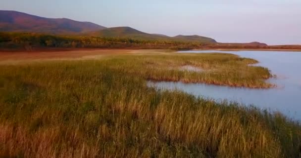 Yukarıdan Bak Güzel Sonbahar Manzarası Sikhote Alin Biyosferindeki Blagodatnoe Gölü — Stok video