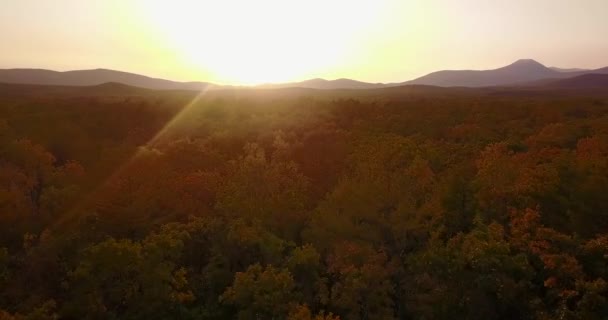 从上往下看 美丽的秋天风景 在Sikhote Alin生物圈保护区的高山和大海的背景下飞越秋天的树木 — 图库视频影像