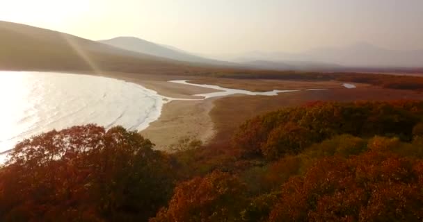 Vista Desde Arriba Hermoso Paisaje Otoñal Volando Sobre Playa Arena — Vídeos de Stock