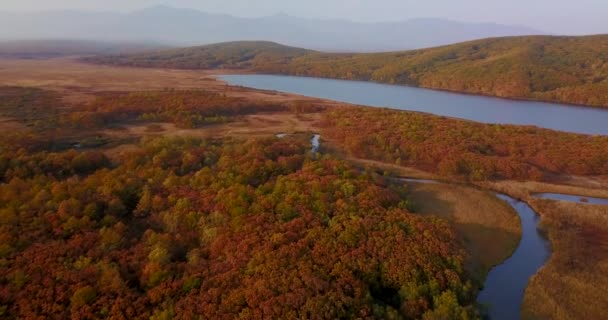 Vue d'en haut. Beau paysage d'automne. Survoler la rivière Golubichnaya sur fond de montagnes et d'ozura dans la réserve de biosphère Sikhote-Alin à l'automne doré au coucher du soleil .