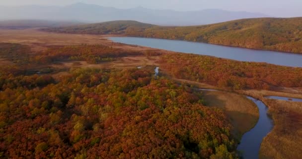 Zicht Van Bovenaf Prachtig Herfstlandschap Vliegen Golubichnaya Rivier Tegen Achtergrond — Stockvideo