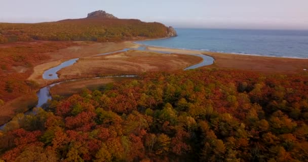 Fliegen Über Die Schöne Küste Des Traktats Blaubeere Goldenen Herbst — Stockvideo