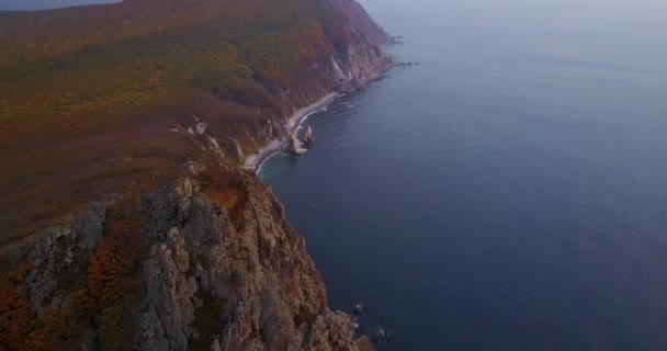 Vista Desde Arriba Hermoso Paisaje Otoñal Costa Rocosa Reserva Biosfera — Vídeos de Stock