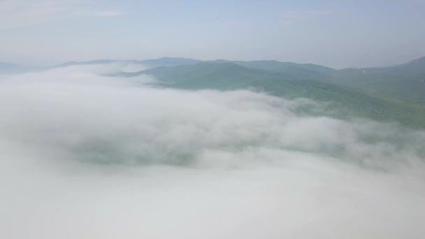 View Protected Coast Lazovsky Reserve Shrouded Fog Summer — Stock Video