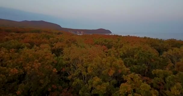 从上往下看 飞越普里莫尔斯基领地Sikhote Alin生物圈保护区美丽的五彩缤纷的秋天森林 — 图库视频影像