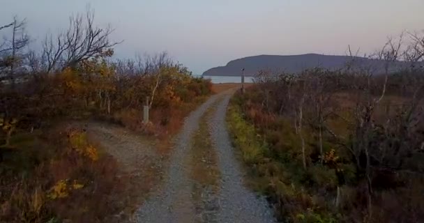 Utsikt Uppifrån Flyger Över Grusväg Till Öppet Hav Biosfärområdet Sikhote — Stockvideo