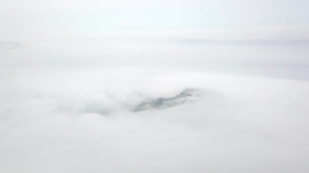 Tirer d'en haut. Île déserte verte dans le brouillard. L'île réservée de Petrov dans la réserve Lazovsky dans le brouillard. L'île avec le seul bosquet d'if du monde .