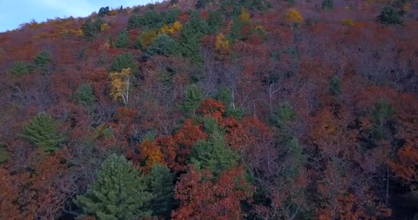 Zicht Van Bovenaf Vliegen Een Prachtig Gekleurd Herfstbos Het Sikhote — Stockvideo