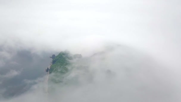 从上面射击 绿色的荒岛在雾中 保留的彼得罗夫岛在拉索夫斯基保护区的大雾中 岛上有世界上唯一的紫杉林 — 图库视频影像