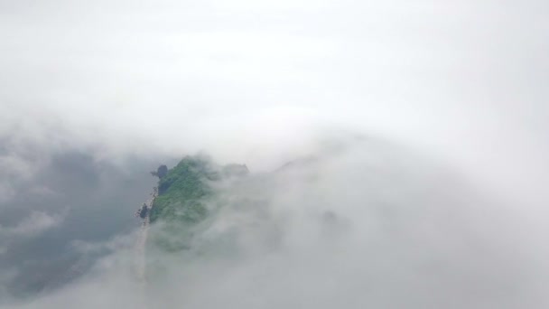 上から撮影 霧の中で緑の砂漠の島 霧の中のラゾフスキー保護区のペトロフの予約島 世界で唯一のイチイの森を持つ島 — ストック動画