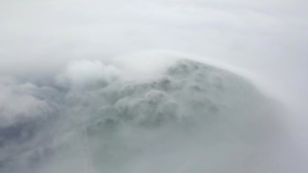 上から撮影 霧の中で緑の砂漠の島 霧の中のラゾフスキー保護区のペトロフの予約島 世界で唯一のイチイの森を持つ島 — ストック動画