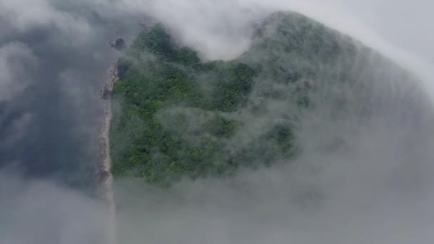 上から撮影 霧の中で緑の砂漠の島 霧の中のラゾフスキー保護区のペトロフの予約島 世界で唯一のイチイの森を持つ島 — ストック動画