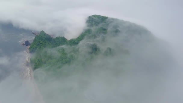 从上面射击 绿色的荒岛在雾中 保留的彼得罗夫岛在拉索夫斯基保护区的大雾中 岛上有世界上唯一的紫杉林 — 图库视频影像
