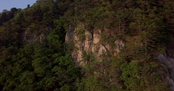 Sparo Dall Alto Isola Verde Petrov Nella Riserva Lazovsky Isola — Video Stock