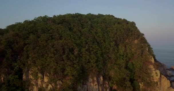 Menembak Dari Atas Pulau Hijau Petrov Reservasi Lazovsky Pulau Dengan — Stok Video