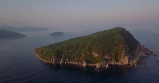 Schießen Von Oben Grüne Insel Petrow Lazowski Reservat Die Insel — Stockvideo