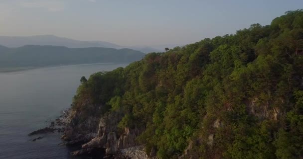 Schießen Von Oben Grüne Insel Petrow Lazowski Reservat Die Insel — Stockvideo