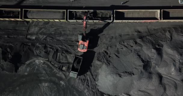 Vista Cima Porto Carvão Escavadora Está Envolvida Carregamento Carvão Carros — Vídeo de Stock