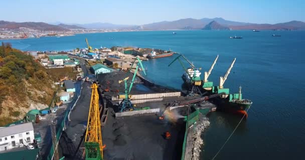 Lente 2019 Nakhodka Primorsky Territory Steenkoolhaven Vliegen Een Kolenhaven Het — Stockvideo