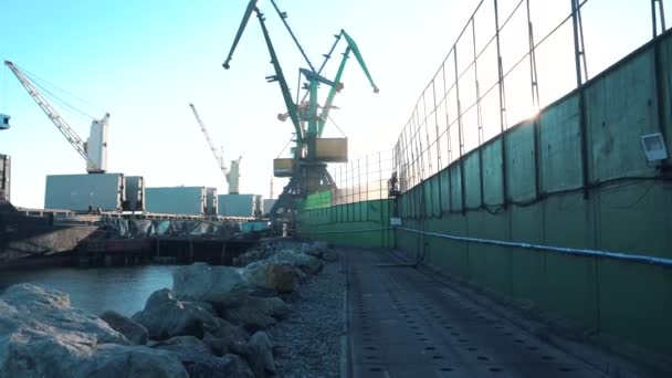 Muur Van Kolenterminal Het Laden Van Steenkool Een Vrachtschip Een — Stockvideo