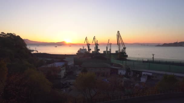 Marine Coal Terminal City Nakhodka Coal Loading Cargo Ship Backdrop — Stock Video